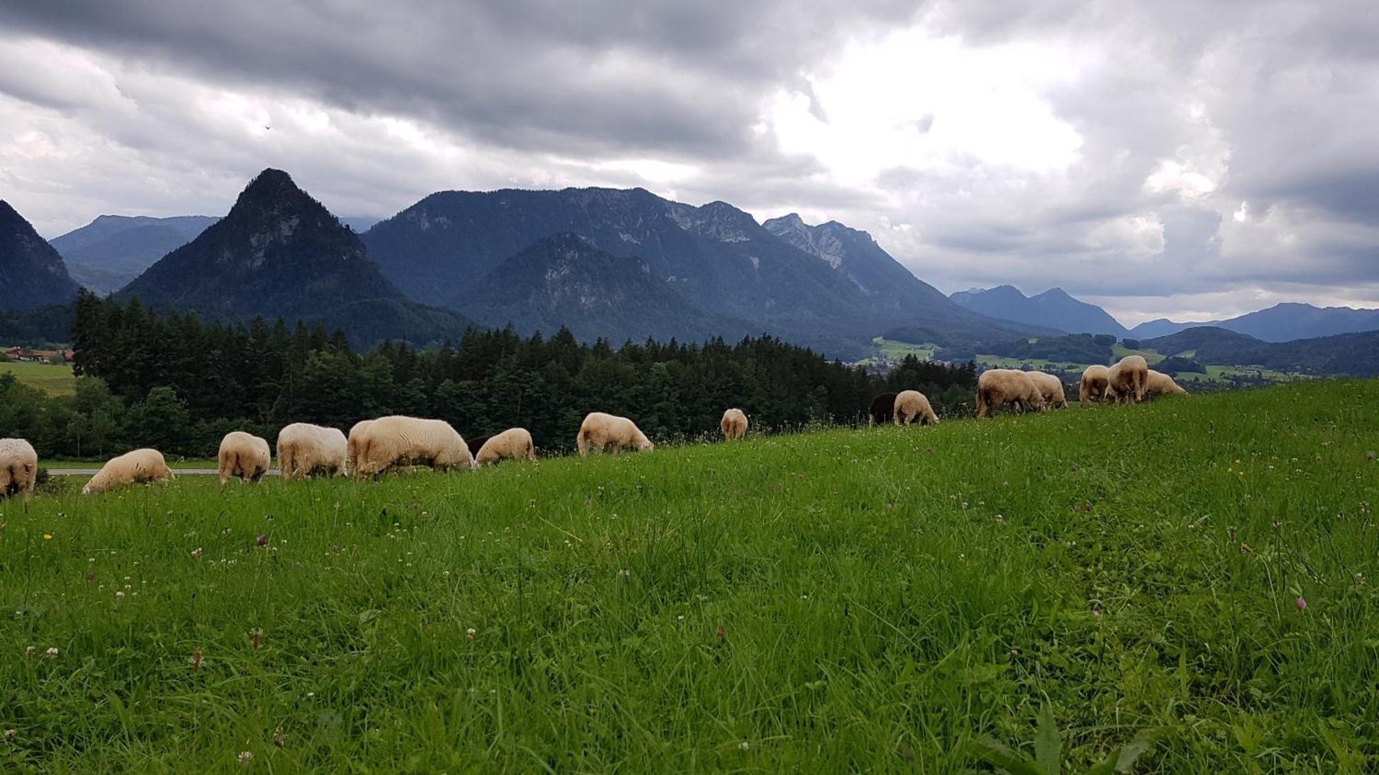 Ferienwohnung Hinterpommern - Chiemgaukarte Inzell Kültér fotó