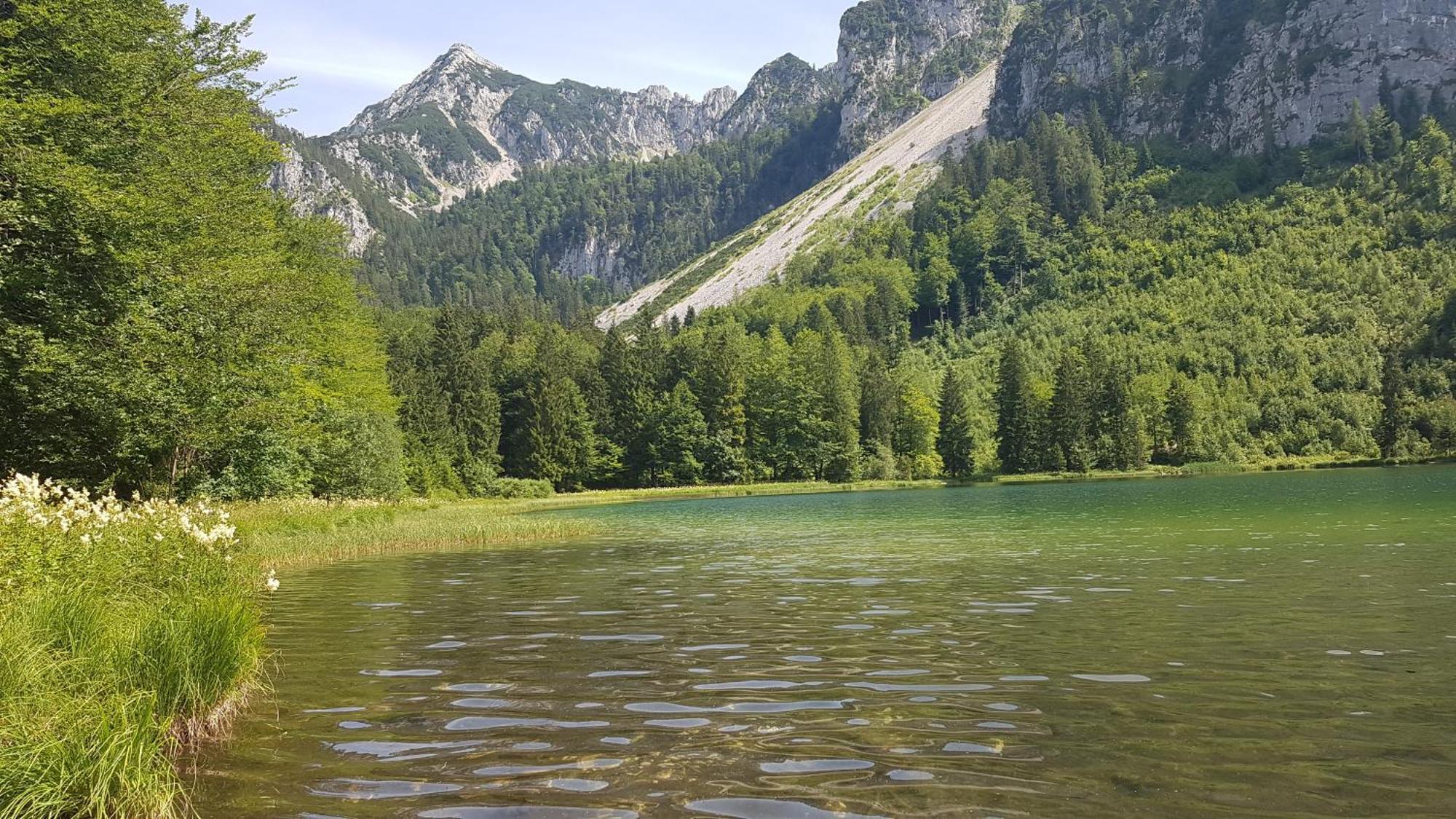 Ferienwohnung Hinterpommern - Chiemgaukarte Inzell Kültér fotó